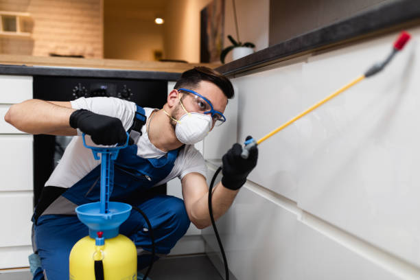 Best Exterminator Services  in Vienna, IL