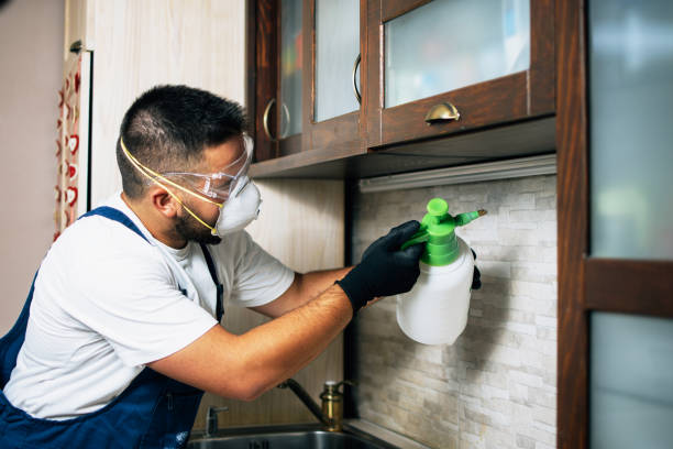 Best Pest Control Treatment  in Vienna, IL