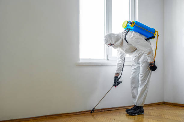 Best Emergency Pest Control  in Vienna, IL