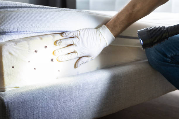 Best Wildlife Control Services  in Vienna, IL