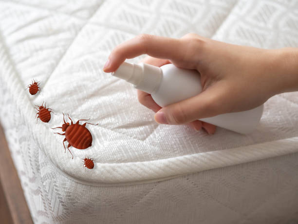 Best Pest Inspection Near Me  in Vienna, IL