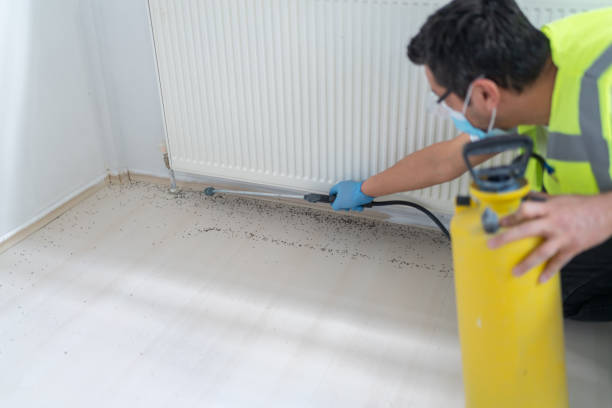 Best Wasp Removal Services  in Vienna, IL
