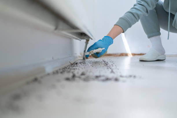Best Mosquito Control Services  in Vienna, IL